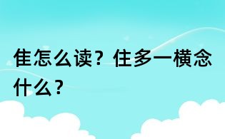 隹怎么读?住多一横念什么?