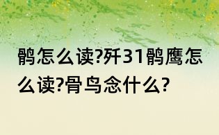 鹘怎么读?歼31鹘鹰怎么读?骨鸟念什么?