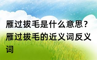 雁过拔毛是什么意思?雁过拔毛的近义词反义词