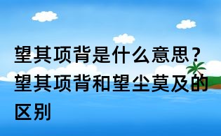 望其项背是什么意思?望其项背和望尘莫及的区别
