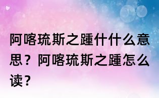 阿喀琉斯之踵什什么意思？阿喀琉斯之踵怎么读？