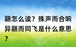 翮怎么读?殊声而合响异翮而同飞是什么意思?