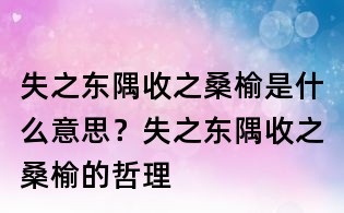 失之东隅收之桑榆是什么意思?失之东隅收之桑榆的哲理