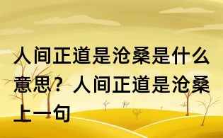 人间正道是沧桑是什么意思?人间正道是沧桑上一句