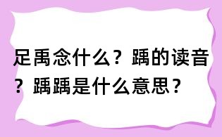 足禹念什么?踽的读音?踽踽是什么意思?