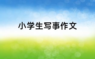 小学生写事作文