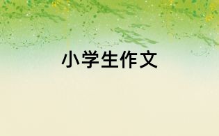 小学生作文