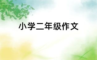 小学二年级作文