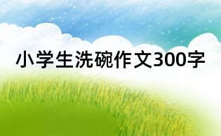 小学生洗碗作文300字