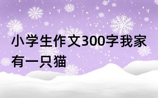 小学生作文300字:我家有一只猫