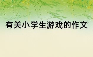有关小学生游戏的作文