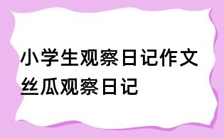 小学生观察日记作文 丝瓜观察日记