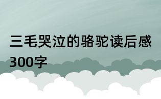 三毛哭泣的骆驼读后感300字