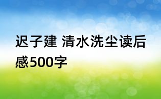 迟子建 清水洗尘读后感500字