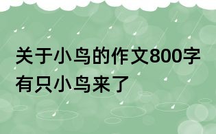 关于小鸟的作文800字:有只小鸟来了