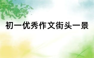 初一优秀作文:街头一景