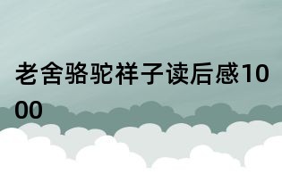 老舍骆驼祥子读后感1000