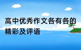 高中优秀作文各有各的精彩及评语