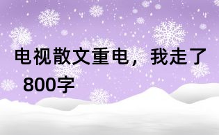 电视散文:重电,我走了 800字