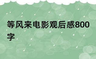 等风来电影观后感800字