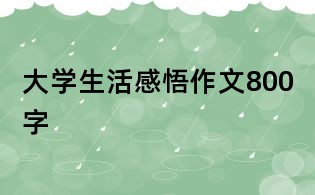 大学生活感悟作文800字