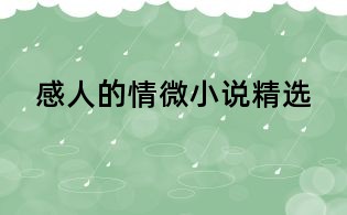 感人的情微小说精选