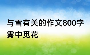 与雪有关的作文800字:雾中觅花