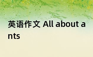 英语作文 All about ants